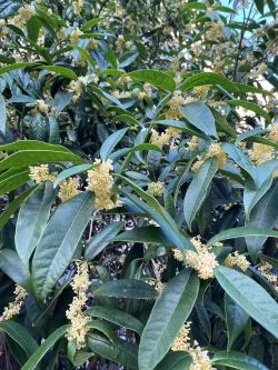 微信圖片_20251020161035