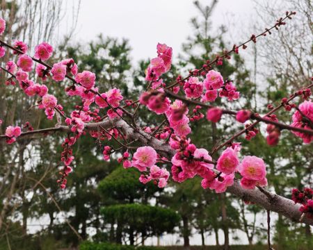 圖2
